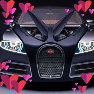 Meet your Posher, Louis